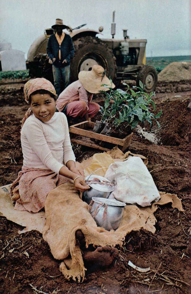National Geographic February 1978 girl Brazil agricultural