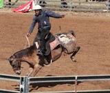 Cowboy rodéo foire de Bourail 2012