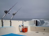 Peche à la traine hauturière technique pour capturer des poissons Méditerranée