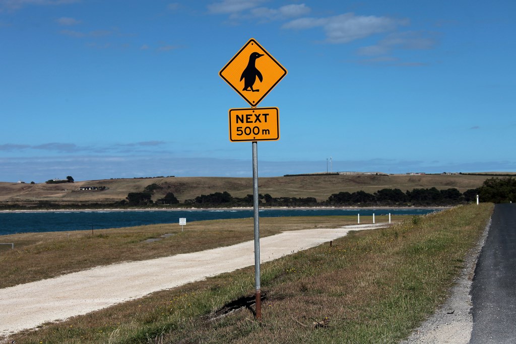 Penguin crossing road sign Tasmania Australia