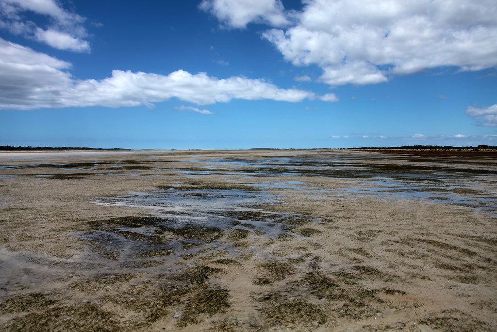 Flat mud beach Tasmania Australia