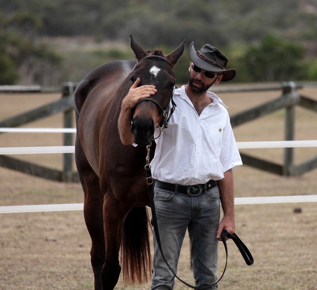 Pur-Sang cheval Foire de Koumac et du Nord 2016 Nouvelle-Calédonie