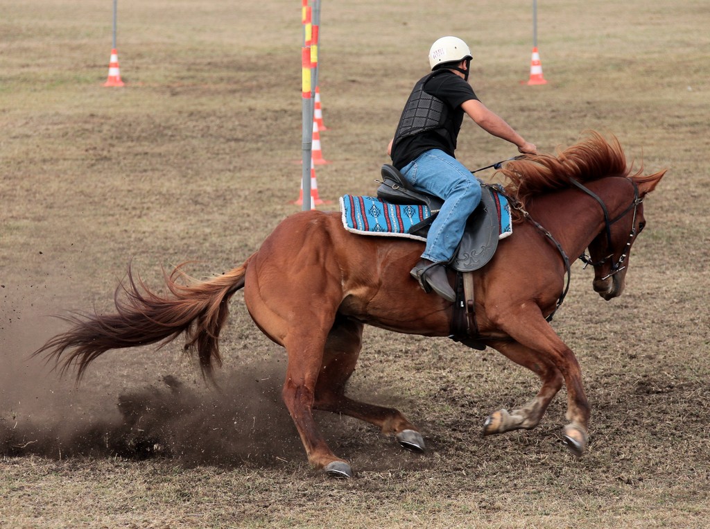 Horse zigzag pole bending Foire de Koumac et du Nord 2016 Nouvelle-Calédonie