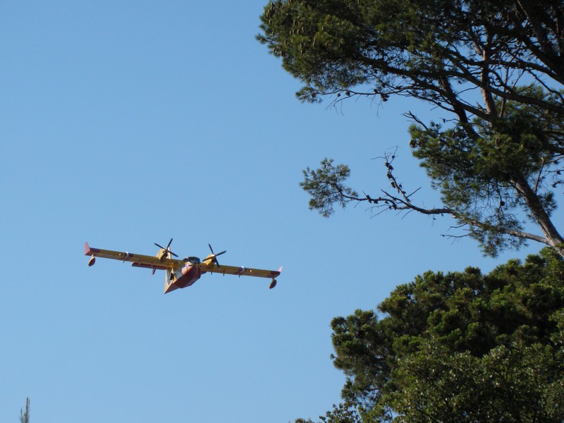Canadair passage basse altitude avant largage sécurite civile Marignane avion jaune rouge CL415
