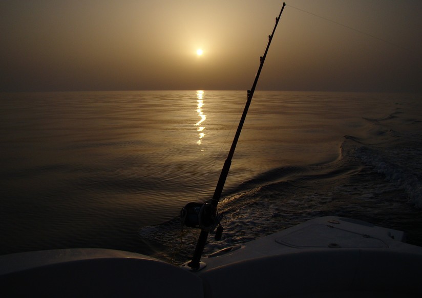 Pêche à la traine golf Persique - Abu Dhabi - Emirats Arabes Unis