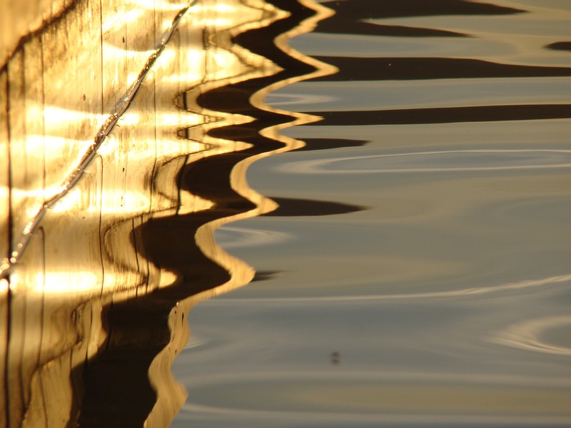 Reflets du soleil dans l'eau - Parc de la navale - la Seyne sur Mer - France 