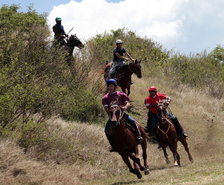 Course de cheval dans la colline Nouvelle-Calédonie stockmen