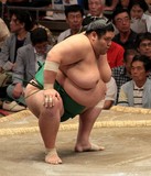 Régime sumo lutteur professionnel sumotori rikishi お相撲さん Tokyo Japon