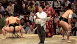 hyôshi-gi 拍子木 hyōshigi instrument musique bois sumo tournois combat Japon Tokyo
