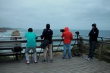 The Twelve Apostles photographers early in the morning waiting the sunrise Great Ocean Road Victoria