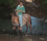 cheval dans une riviere fidji promenade ballade licol mors selle