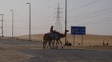 Al Wathba Camel Race - Madinat Zayed - UAE - million street
