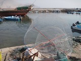 Oman Dibba Fish trap harbour tradional fishing technique