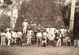 Ouvriers Plantation case Kanak Nouvelle-Calédonie photographie ancienne