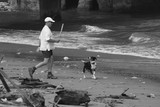 A man play with a dog on the beach New Zealand South Island