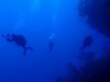 Dukati reef New Caledonia scuba diving