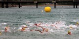 Natation triathlon nageur swimmer swimming tips Noumea New Caledonia Nouvelle-Calédonie ligue de triathlon